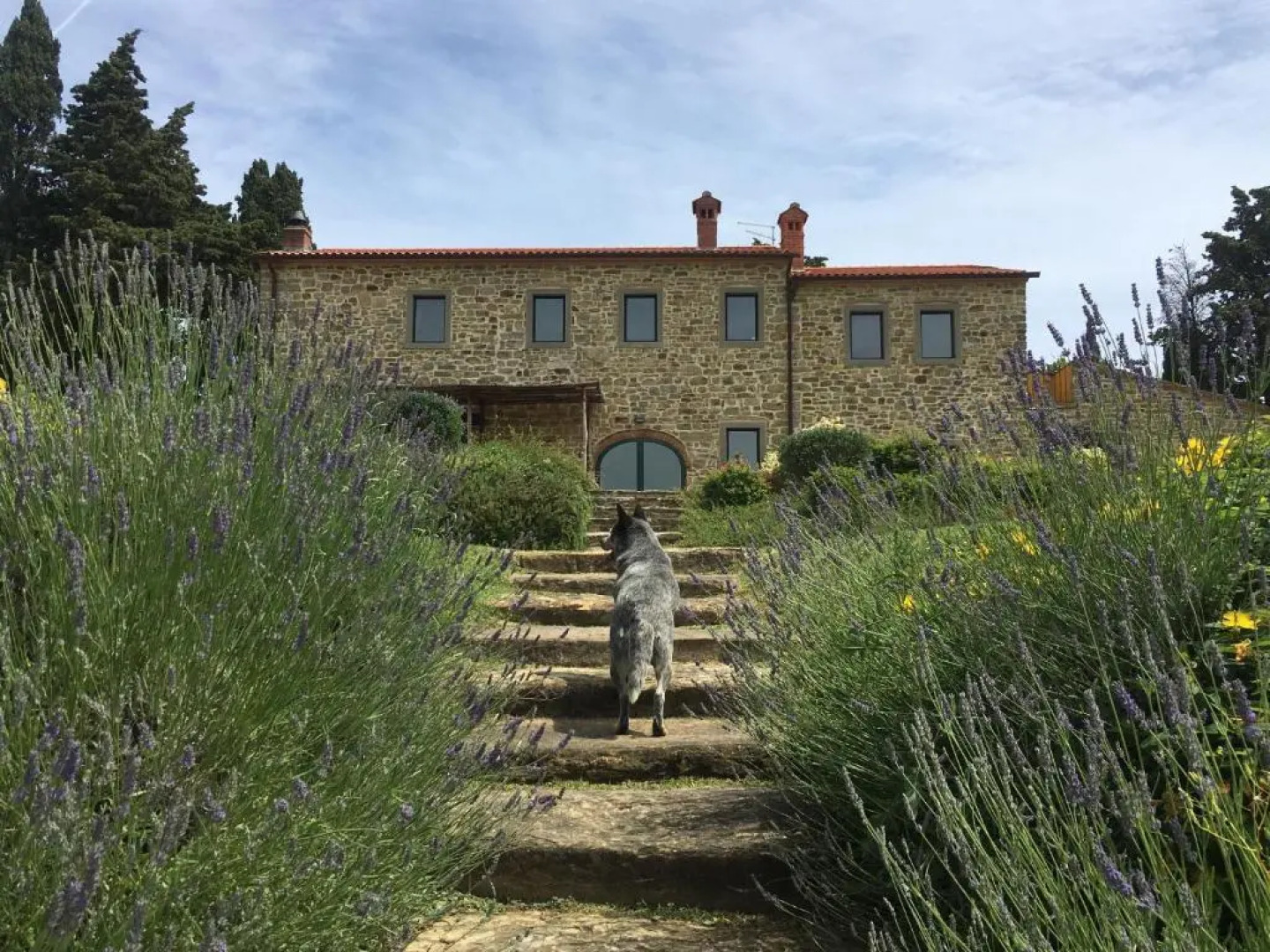 Villa Poggio dei Cipressi