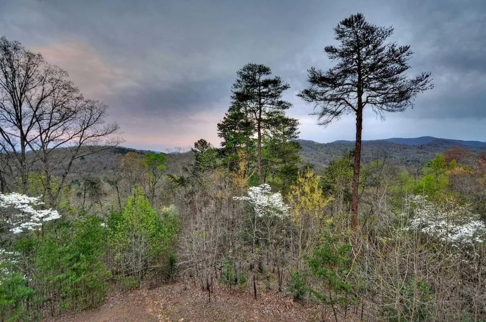 Blackberry Lodge by Escape to Blue Ridge