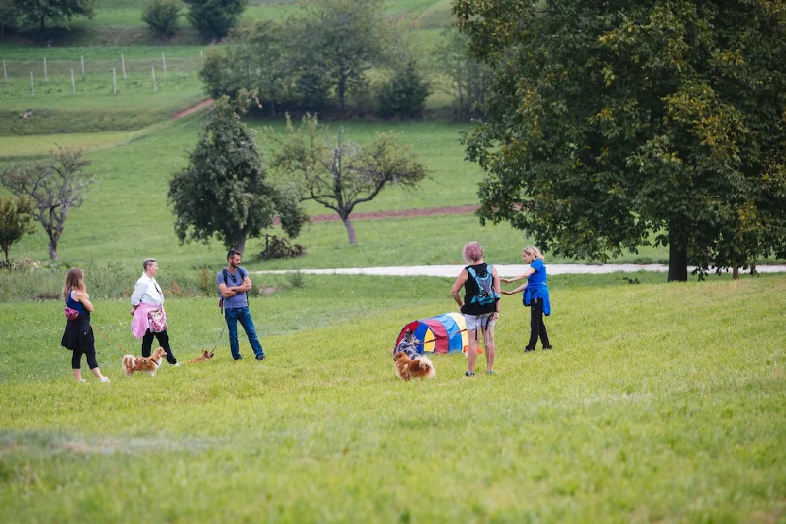 Agriturismo Florandonole
