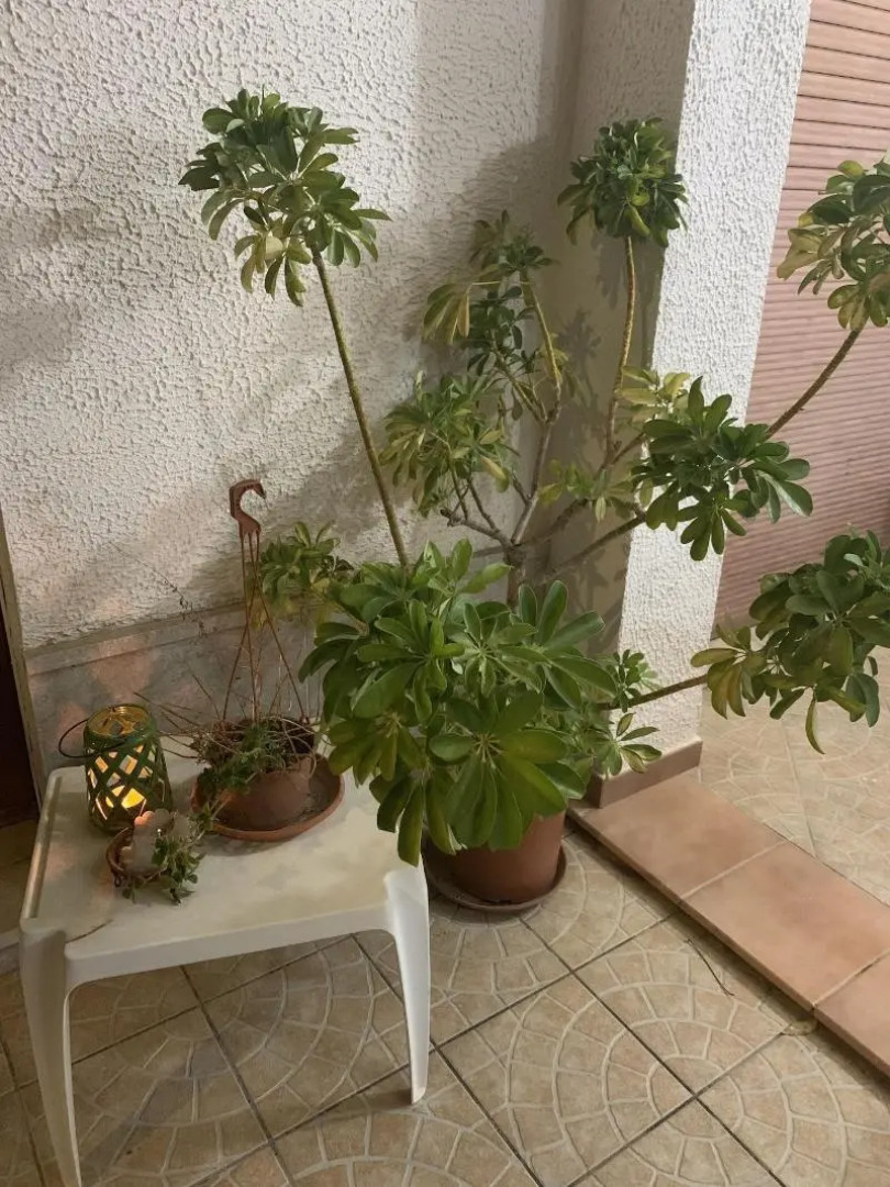 Valentina Lovely Rooms