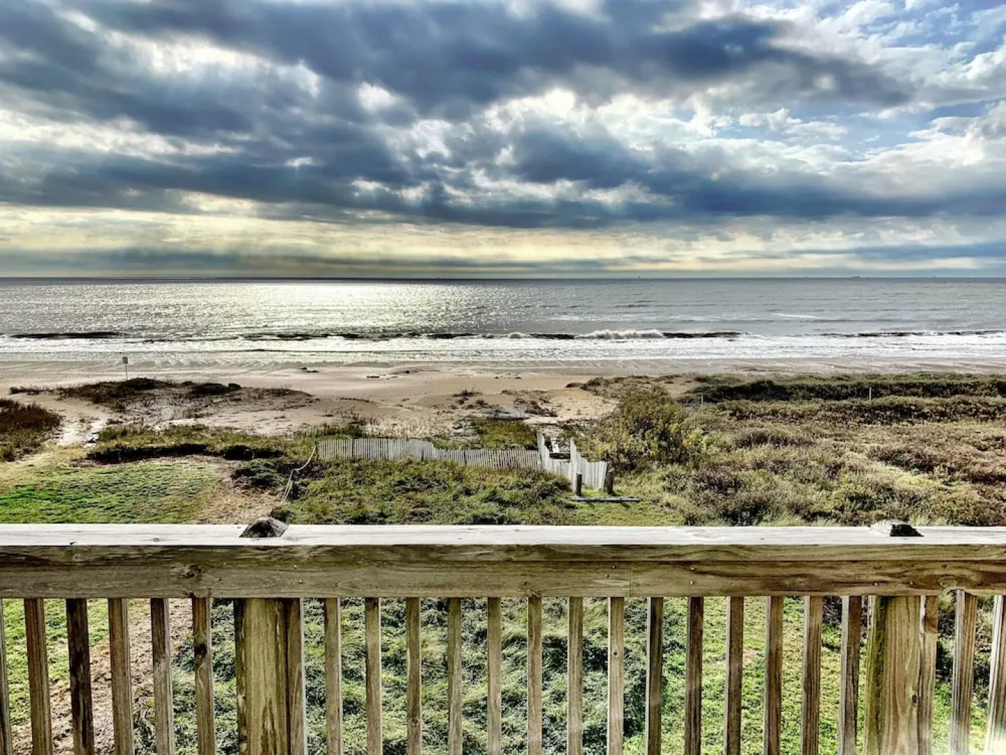 Happy Honu by RedAwning