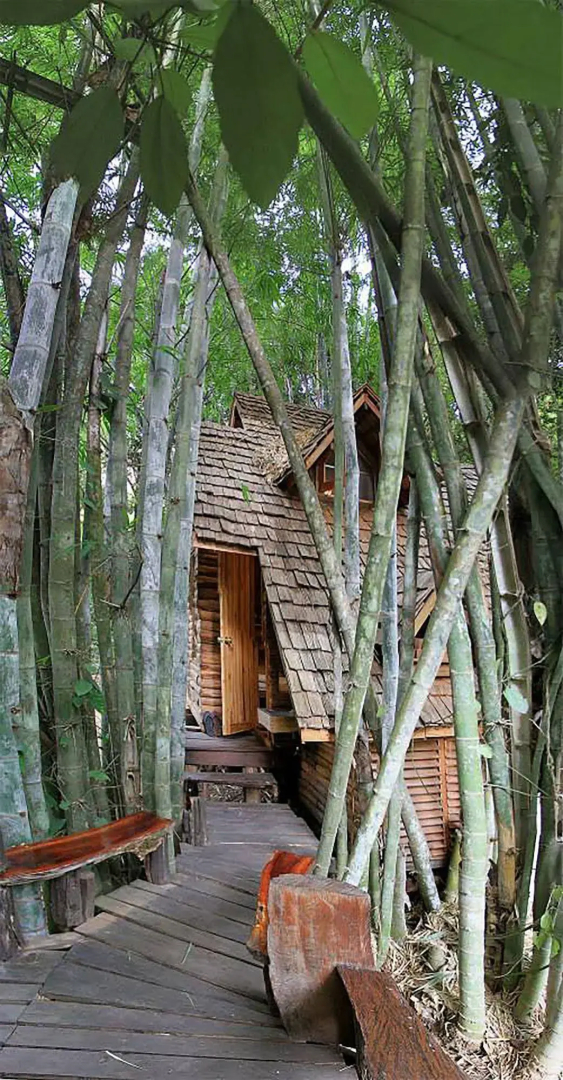 Rabeang Pasak Treehouse Resort