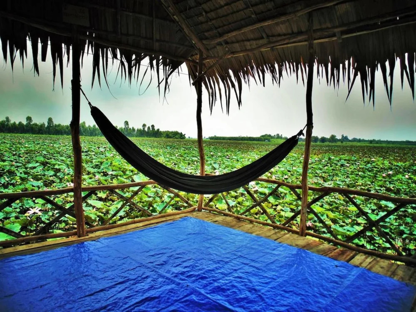 Hai Lua Homestay (Lotus Lake Homestay)