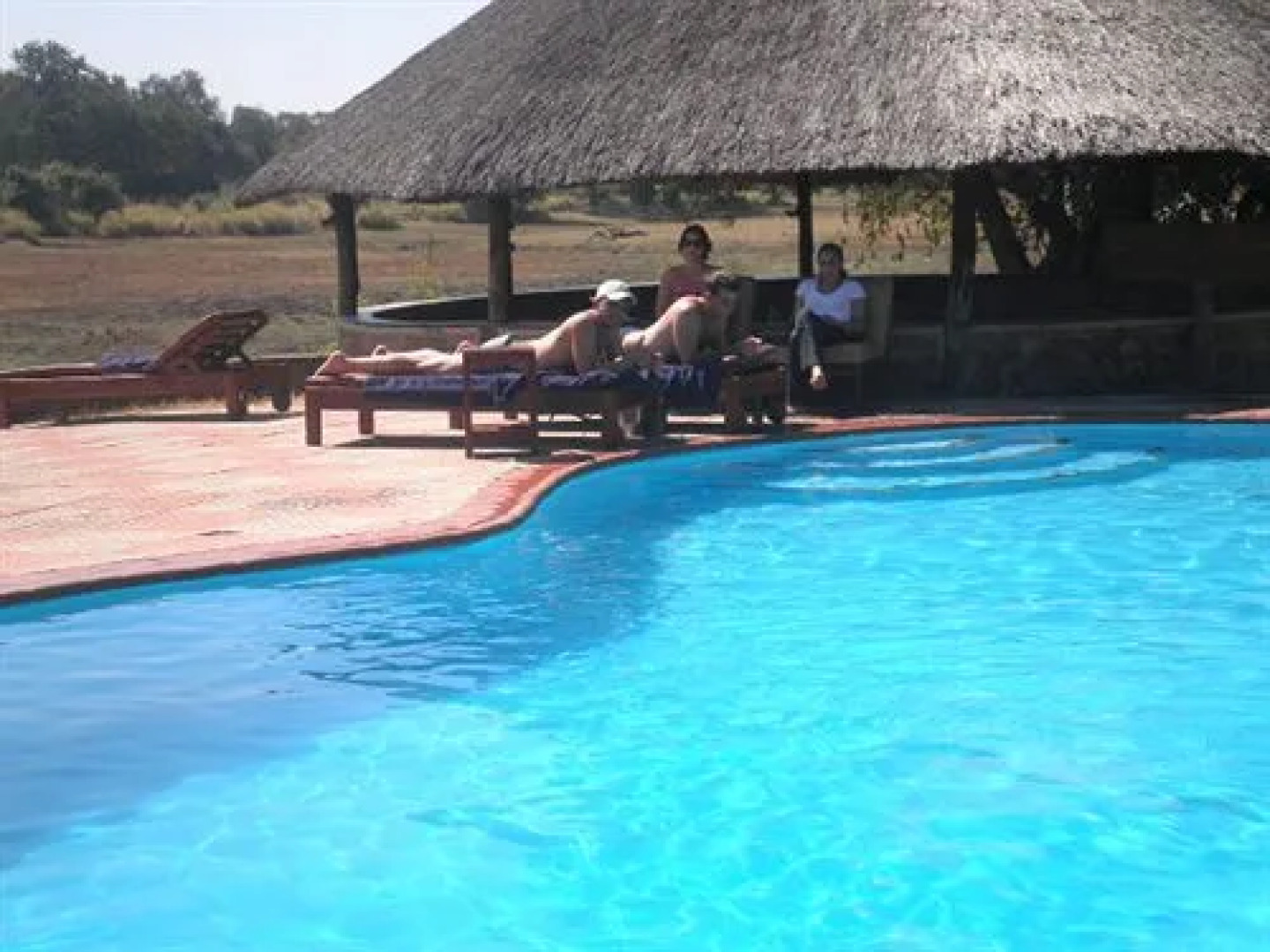 Three Cities Mushroom Lodge