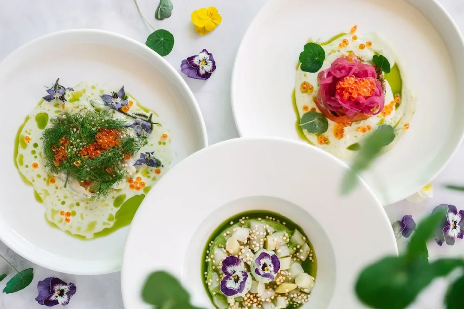 Sunrose 7 - Gourmet & SPA Hotel (16+)