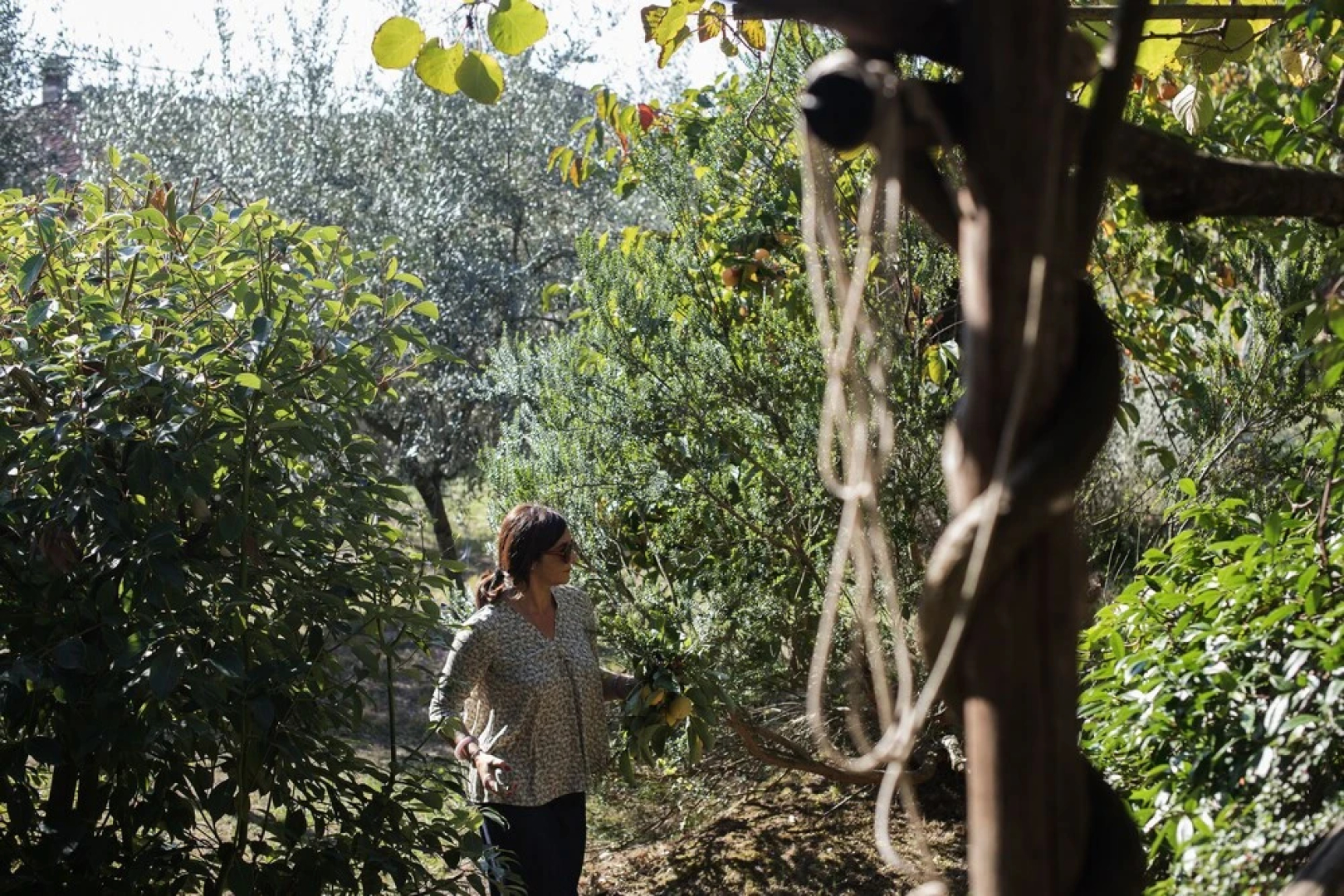 Casale Amati Country House