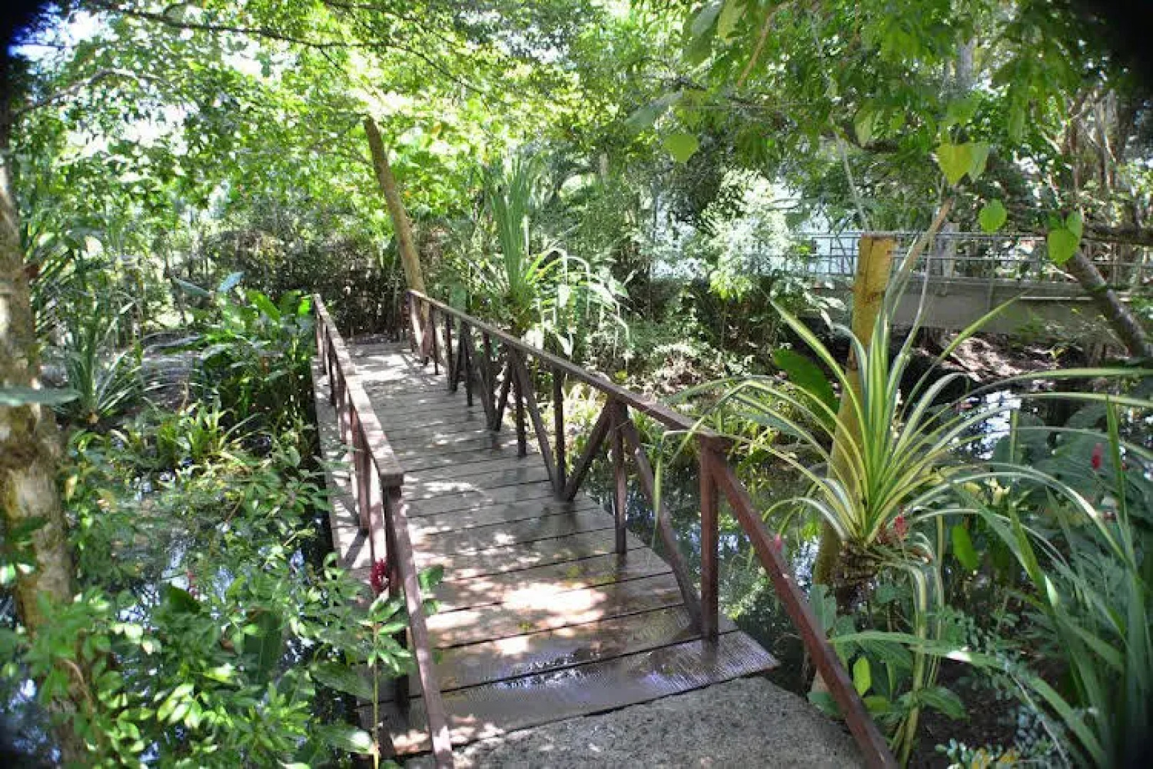 Private beach path, pool view- M03