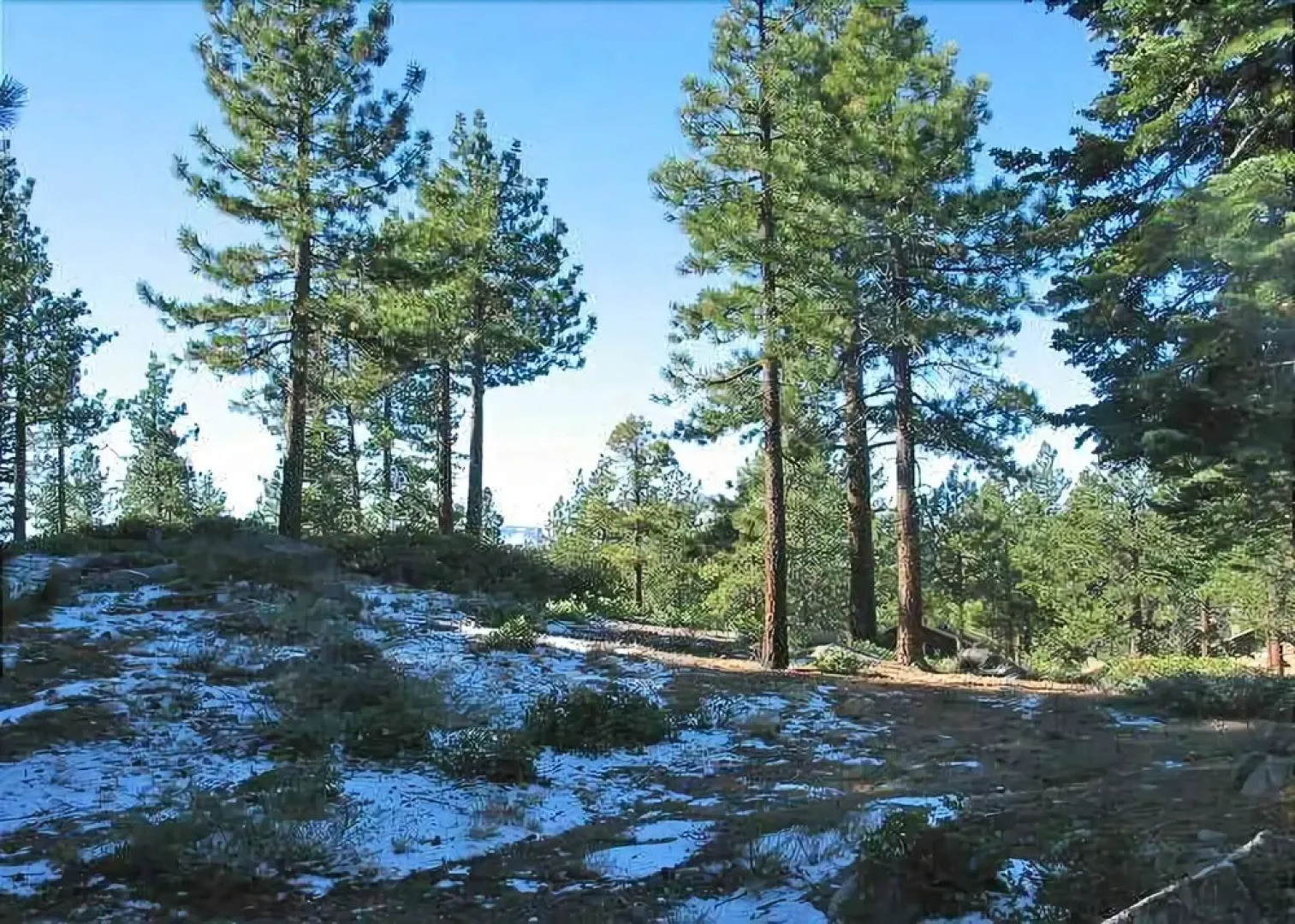 1173 Timber Lane 4 Bedroom Home