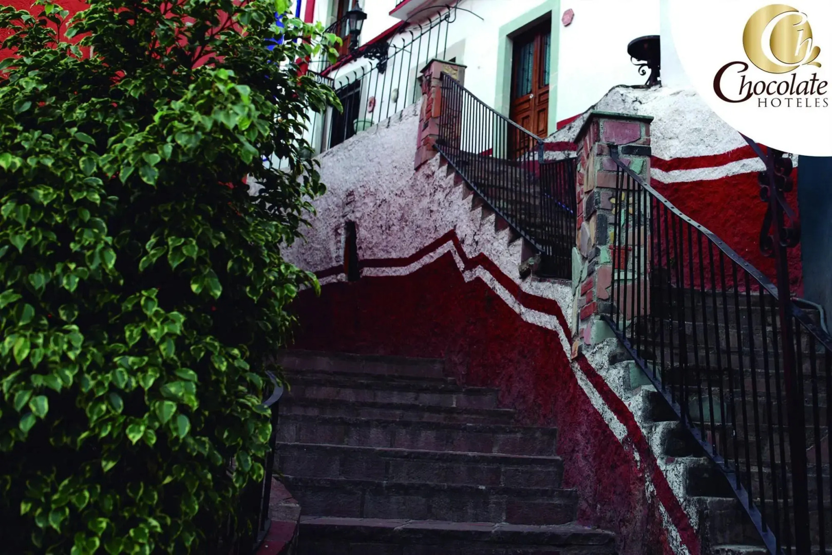 Hotel Chocolate Tradicional