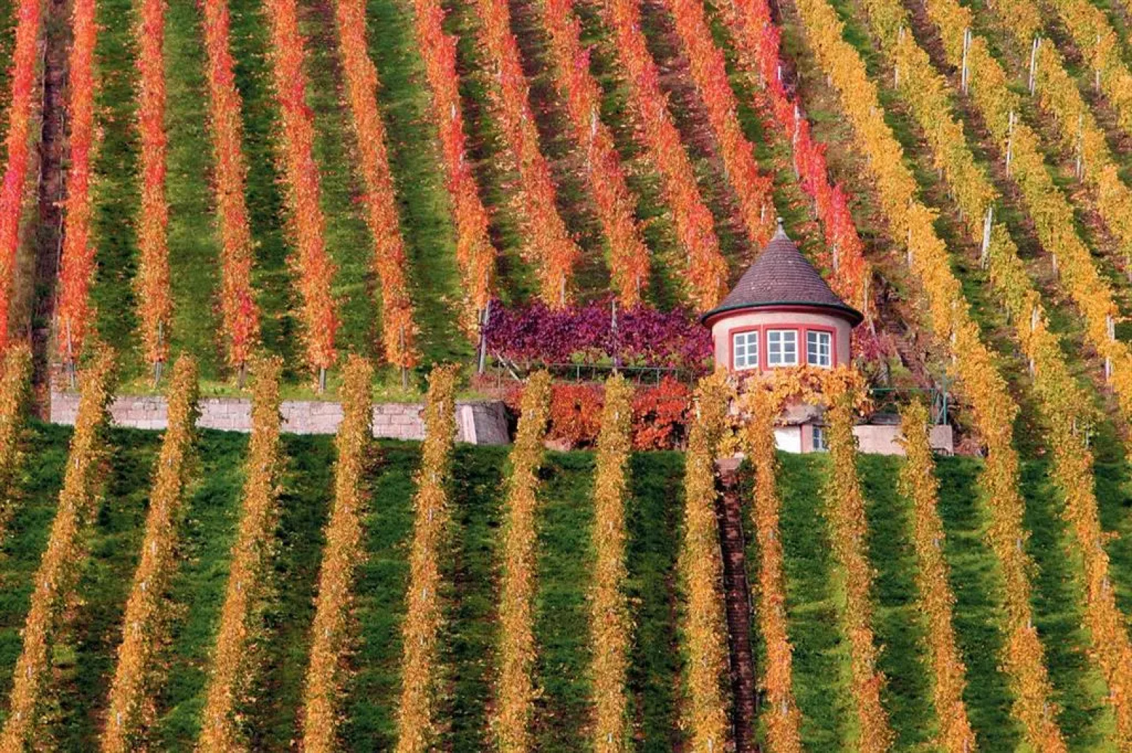 Best Western Hotel Stuttgart Winterbach