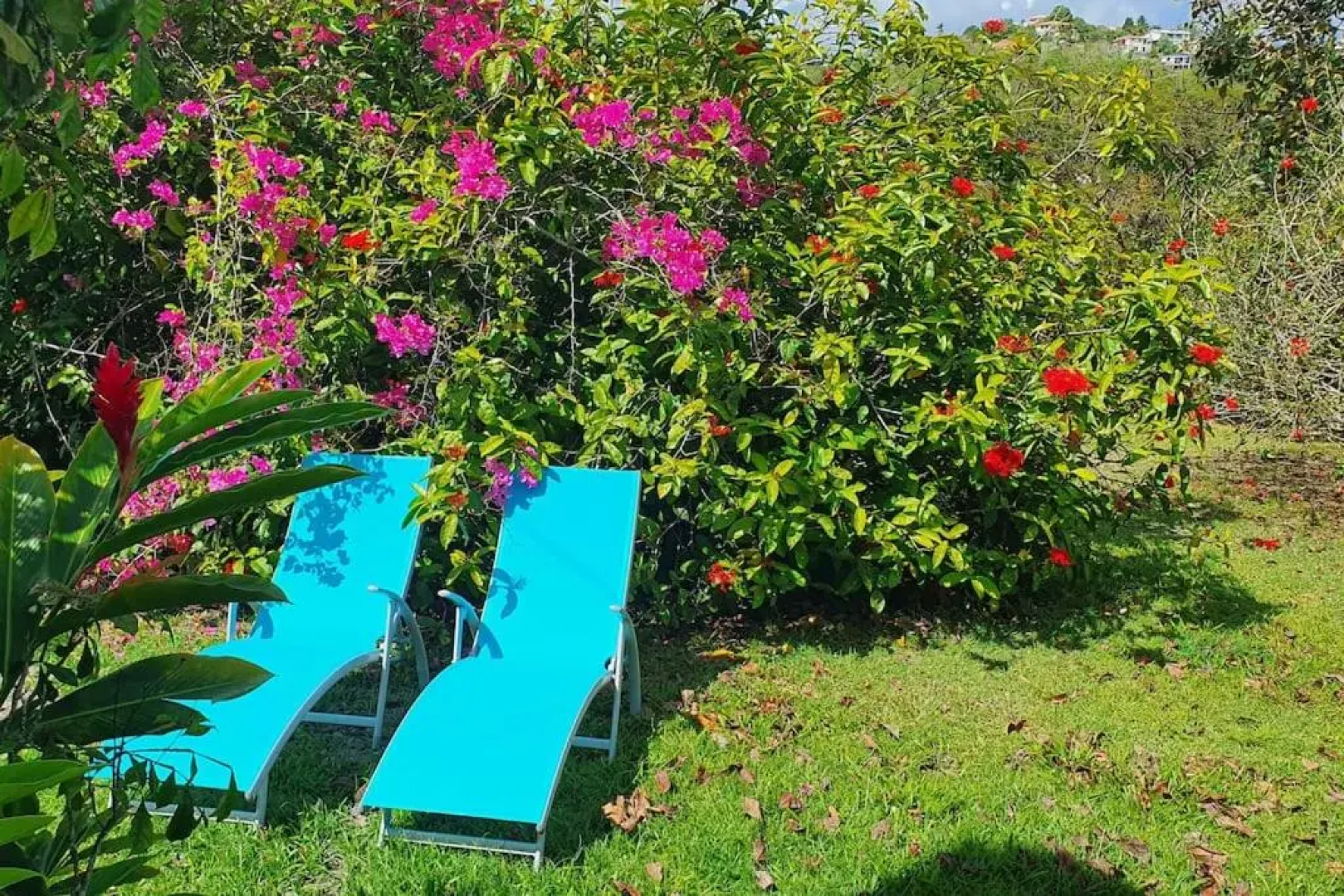 972D4 - Les 2 Palmiers - Bas de villa 60m2 jardin 2000m2