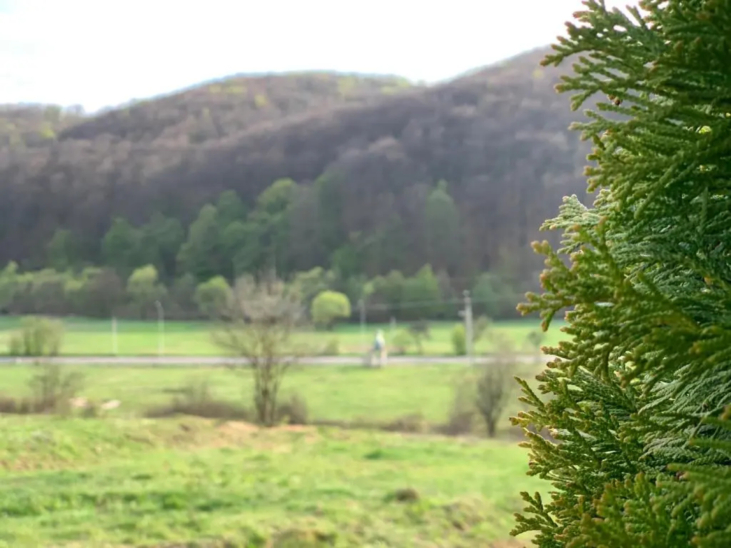 Mini hotel Solnce Karpat