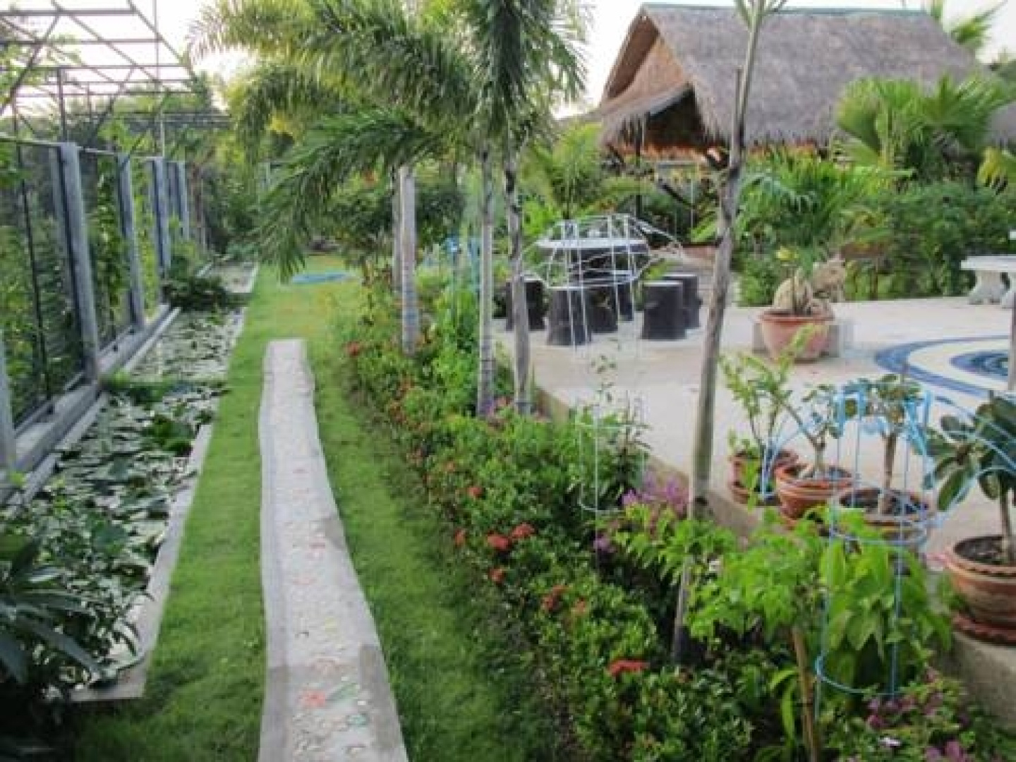 Pinpao Guest House