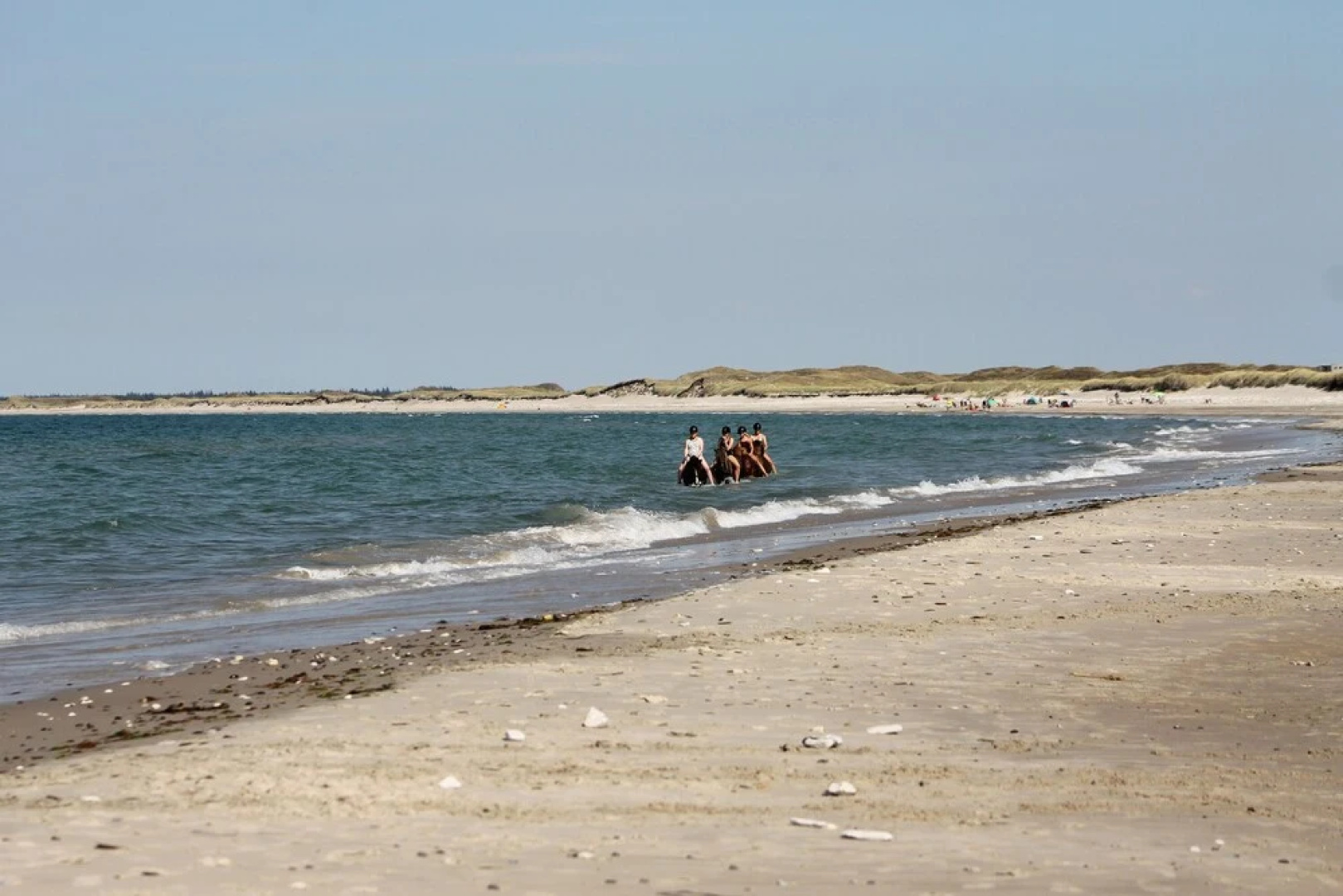 Hanstholm Camping