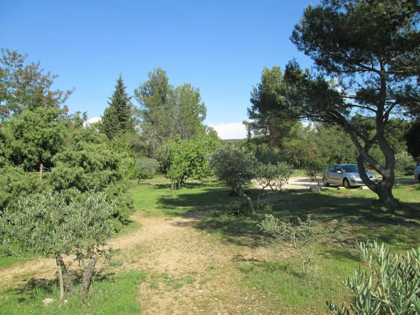 La Garrigue des Alpilles