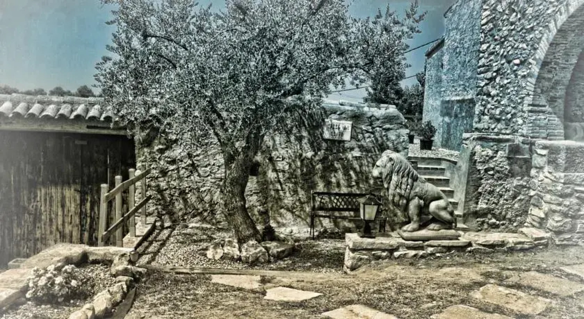 La Casa Pairal De La Marca