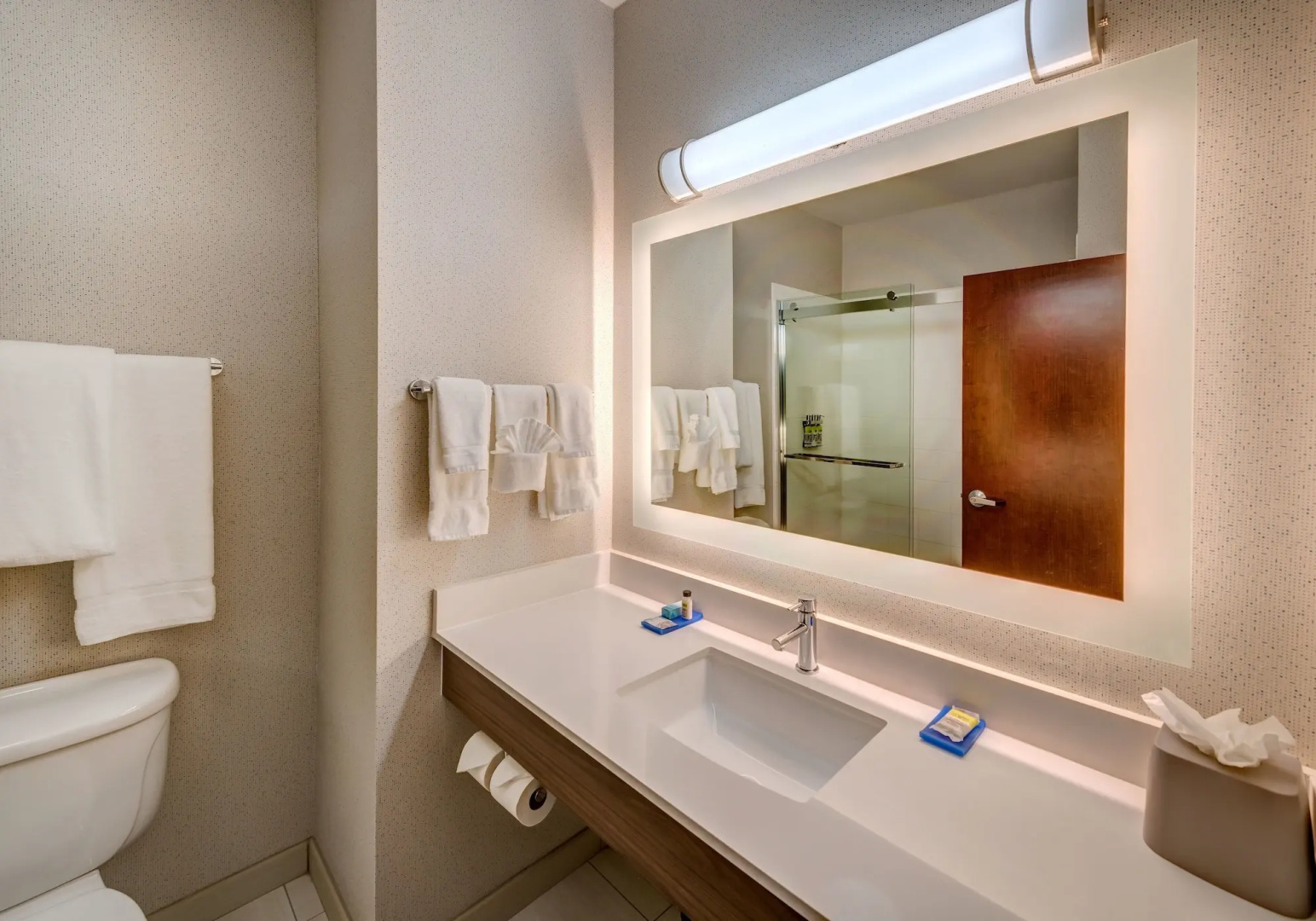 Holiday Inn Express Reno Airport by IHG