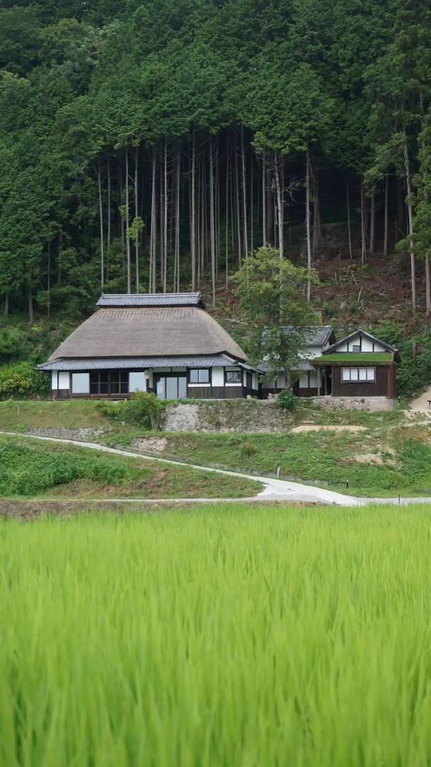 Sasayuri-Ann