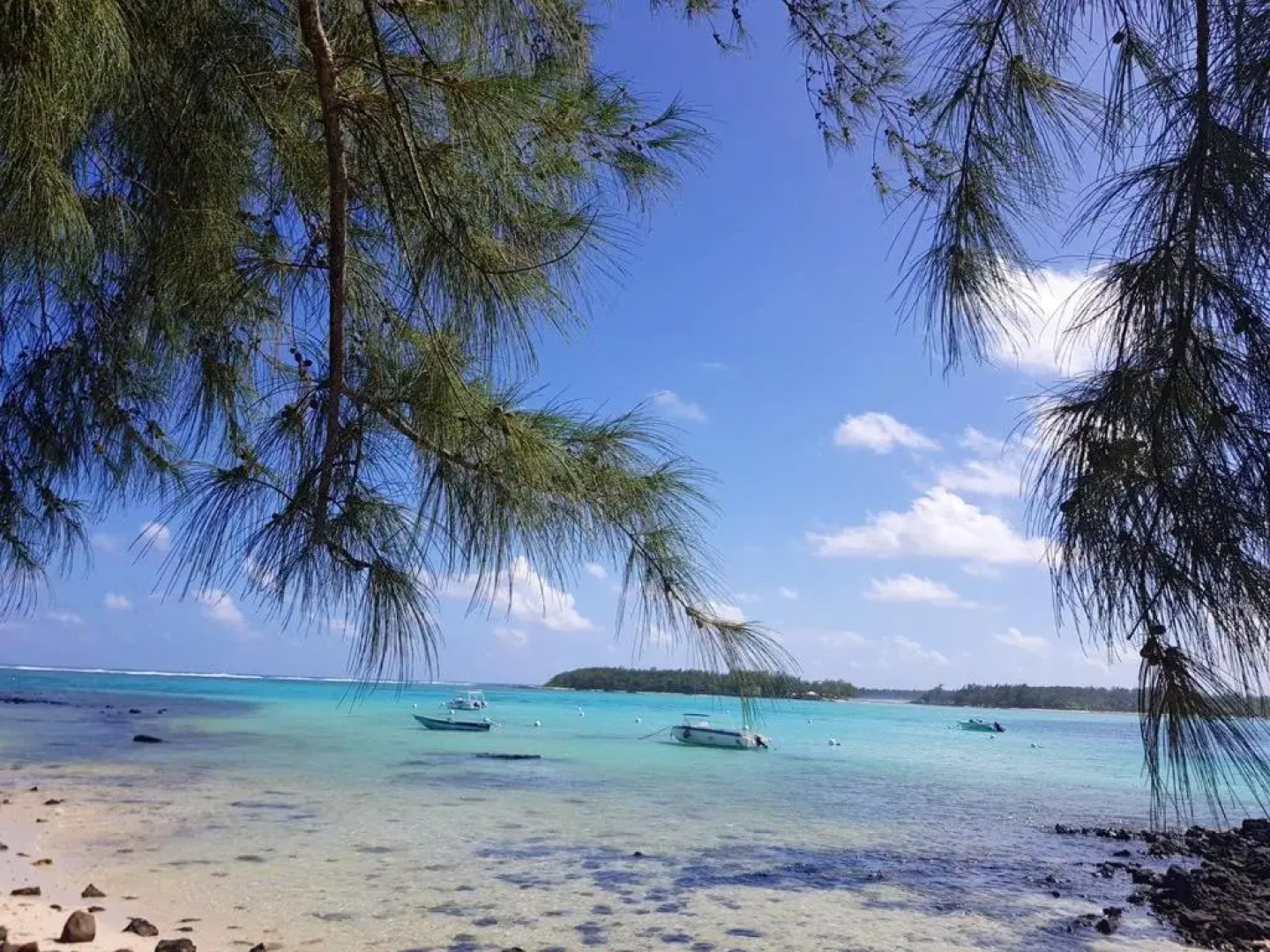 4 bedrooms villa at Blue Bay 550 m away from the beach with private pool enclosed garden and wifi