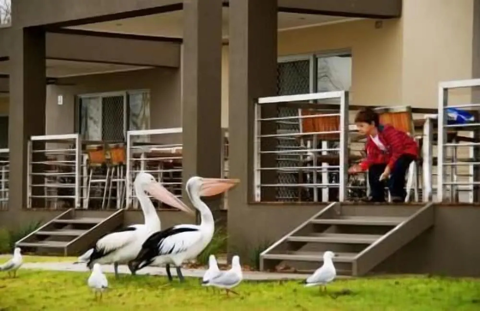 Ski Club Holiday Park