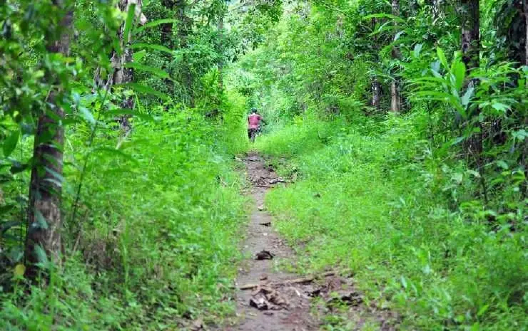 Schitzo Hills Forest Resort