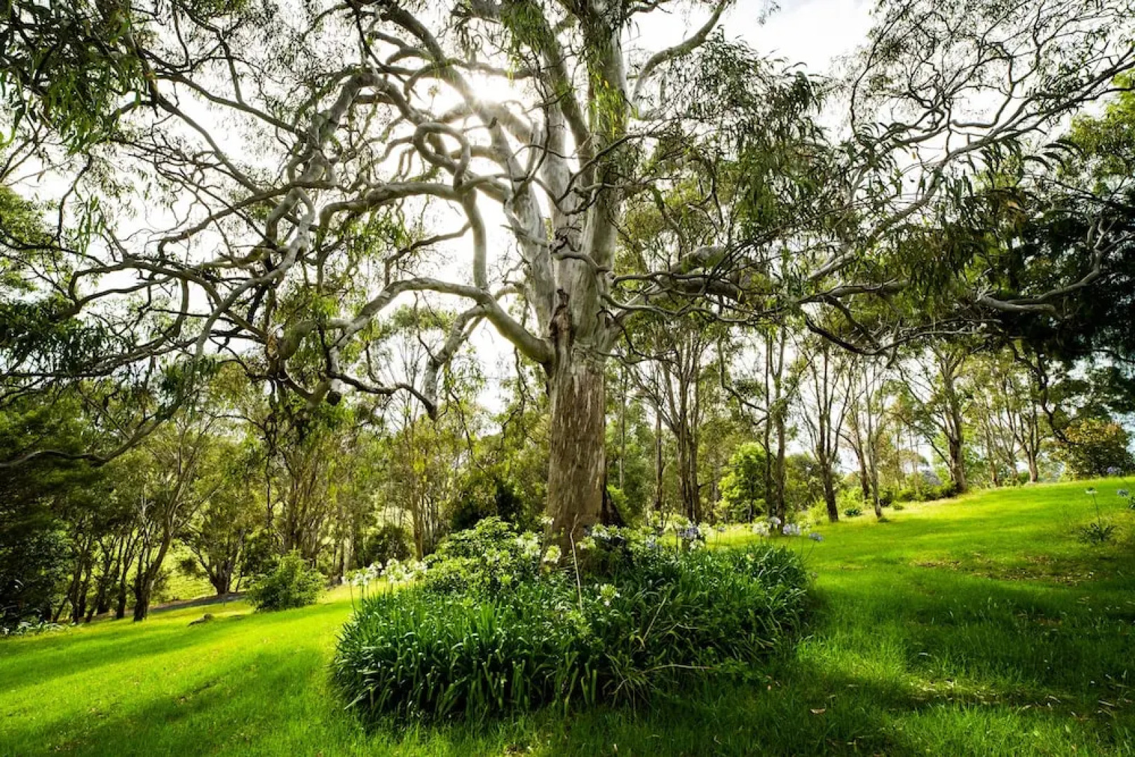 The Bryn At Tilba Family Cottage