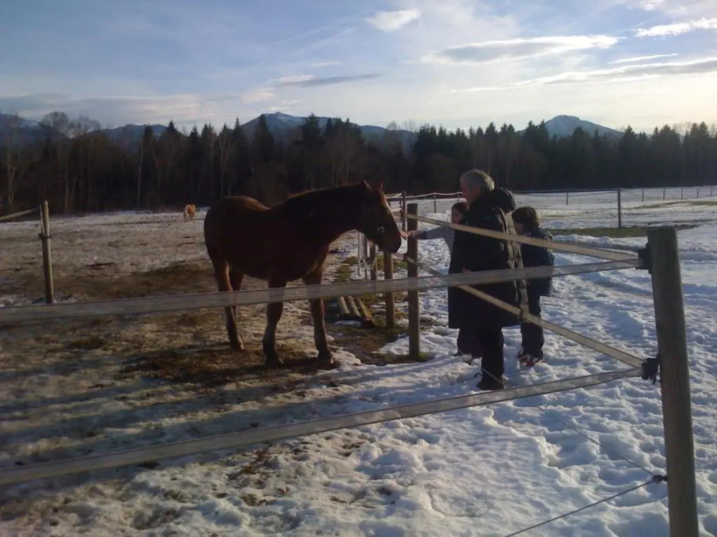 Ristorante-Pizzeria La Locanda