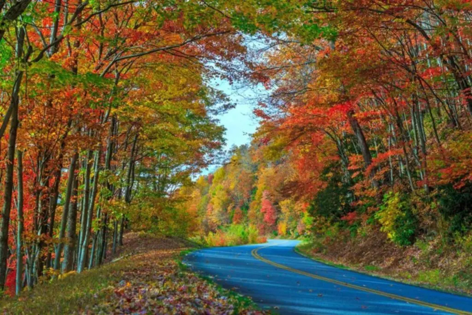 Asheville Creekside Bungalow