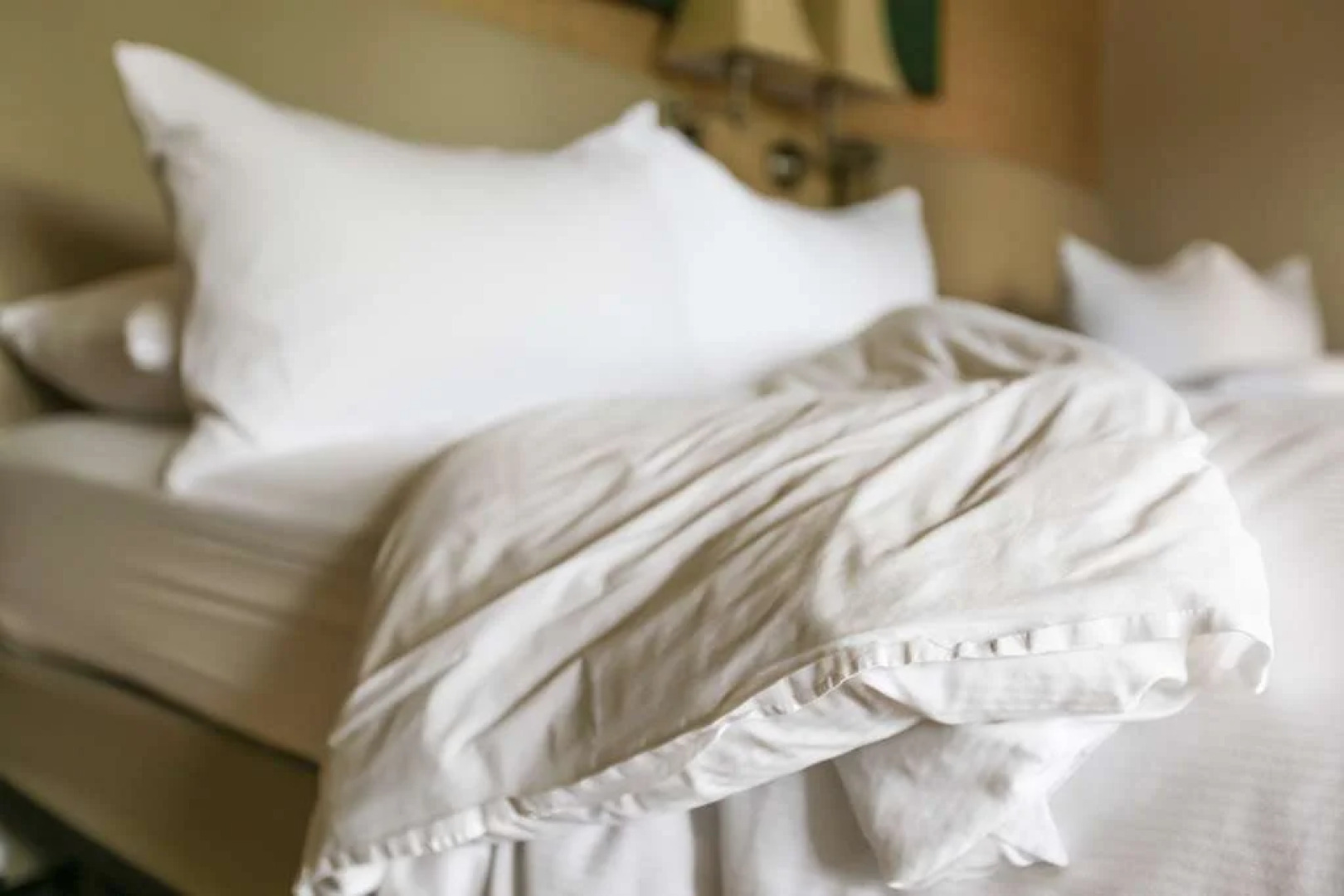 The Lodge at The International