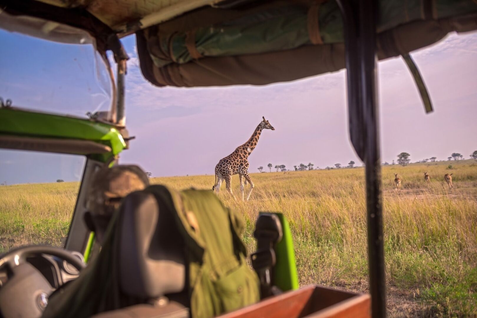 Tilenga Safari Lodge