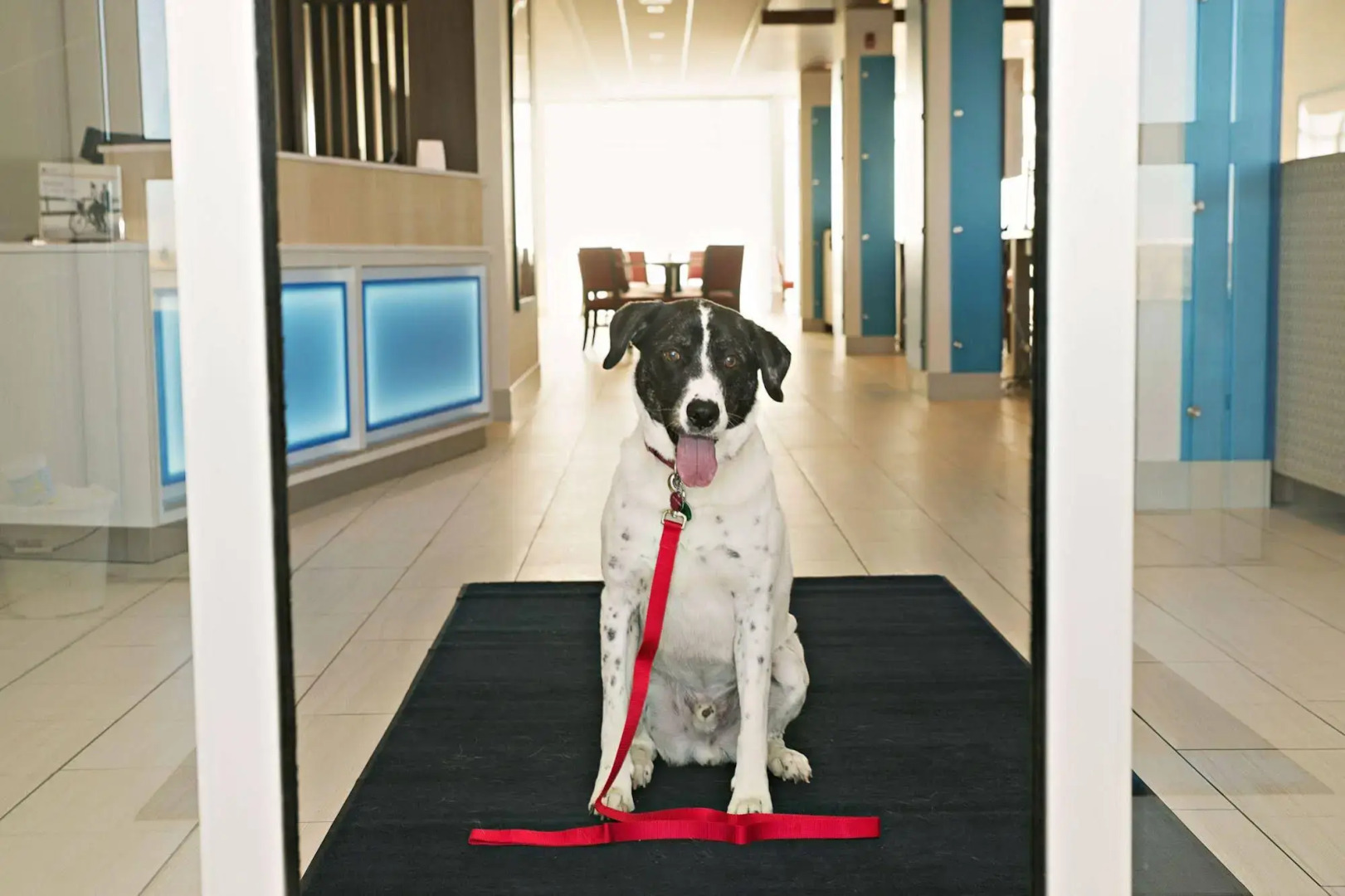 Holiday Inn Express & Suites Rantoul by IHG