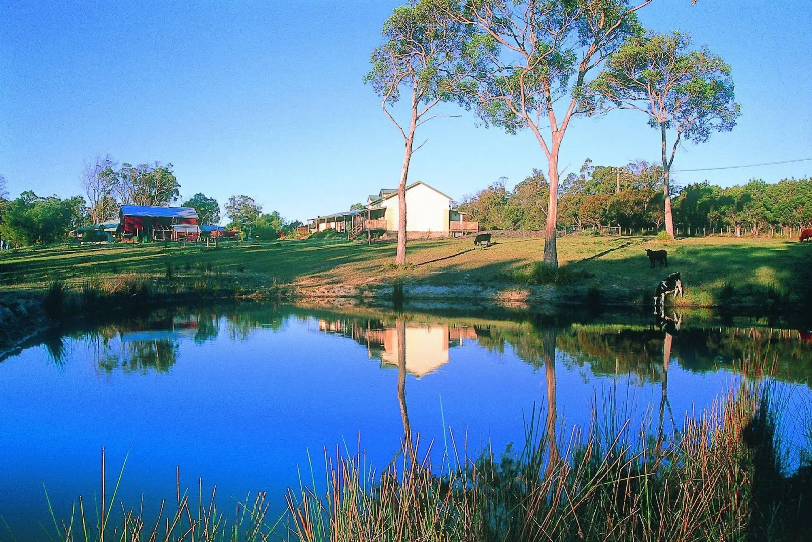 Platypus Park Country Retreat