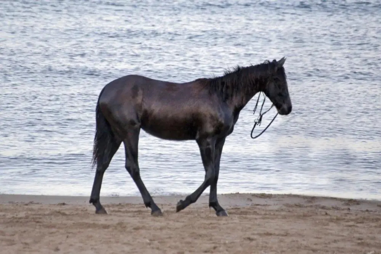 The House By The Sea