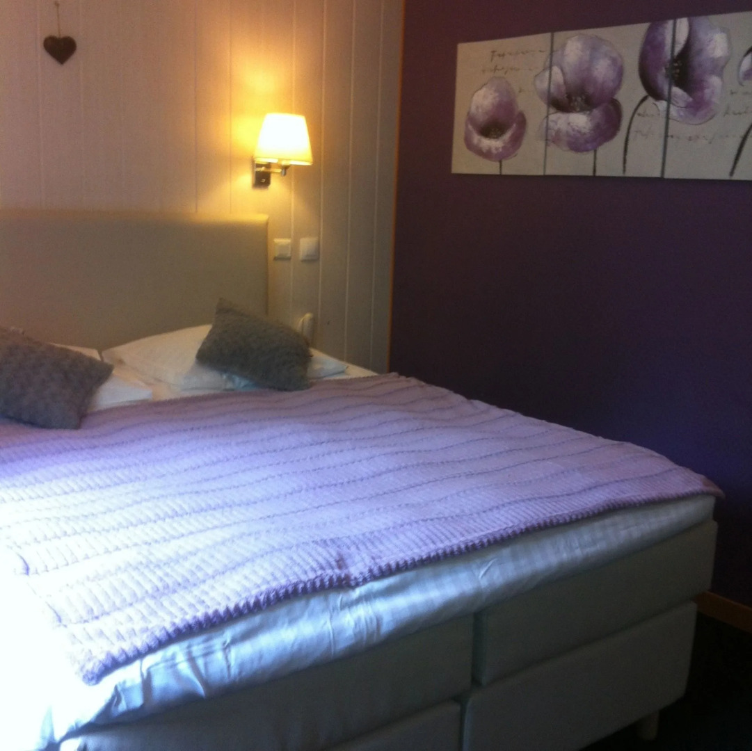 Au Cheval Blanc Hôtel et Restaurant