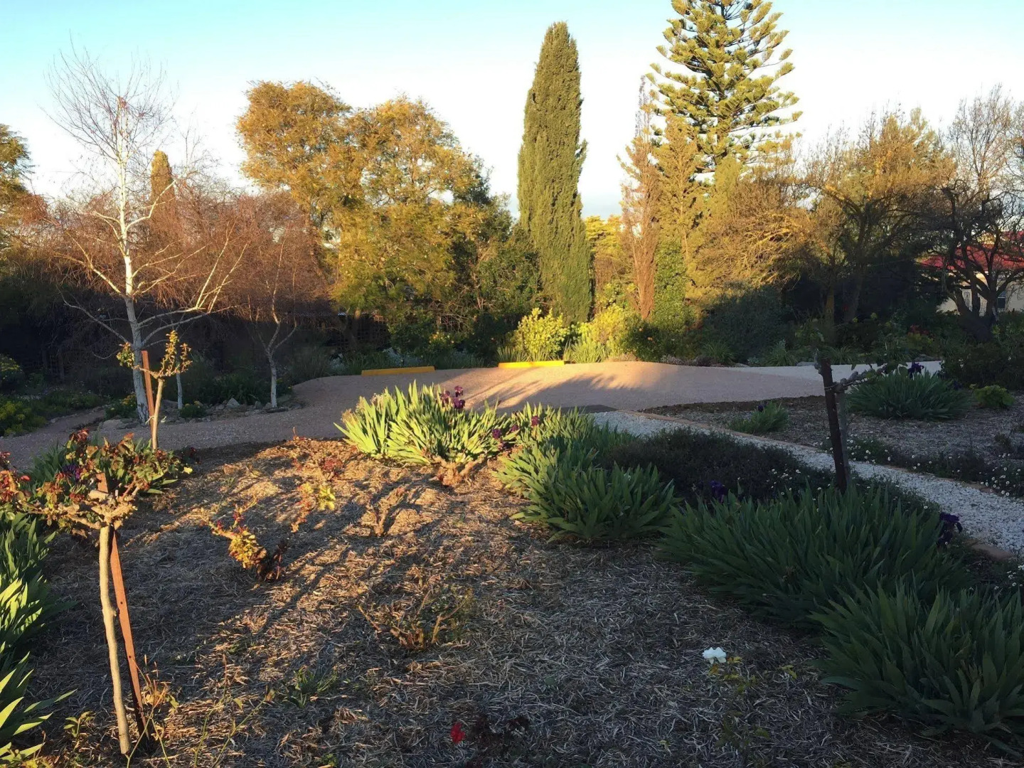 Lyreen's Apartment B&B