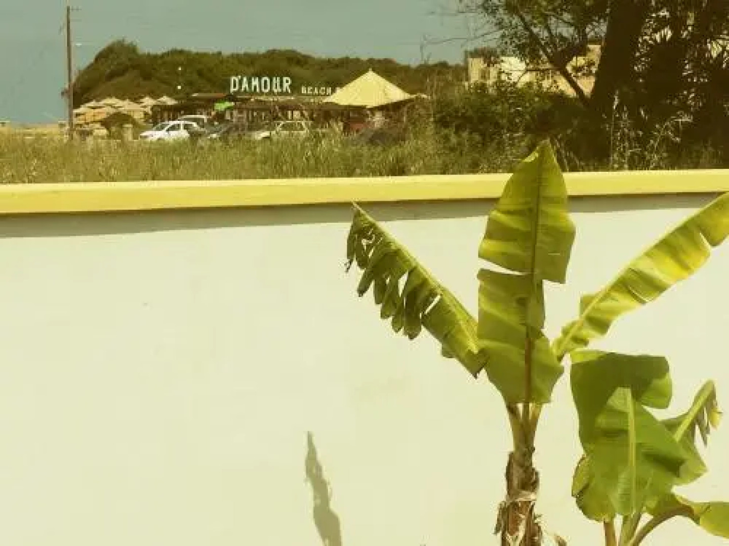 Natural Blue Green Apartment