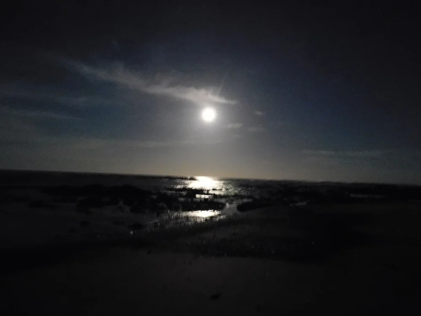 You Imagine Costa Rica Our Location Being on the Beach is What You Imagine