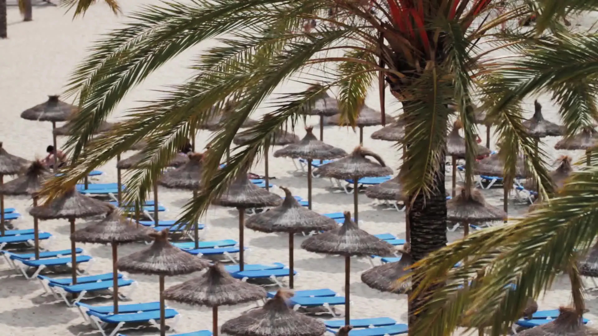 Apartamentos La Carabela