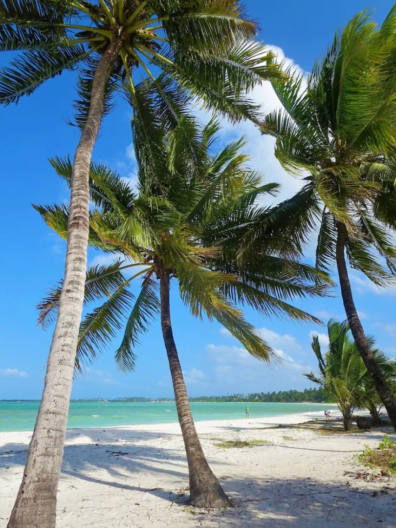 Santa Maria Coral Park