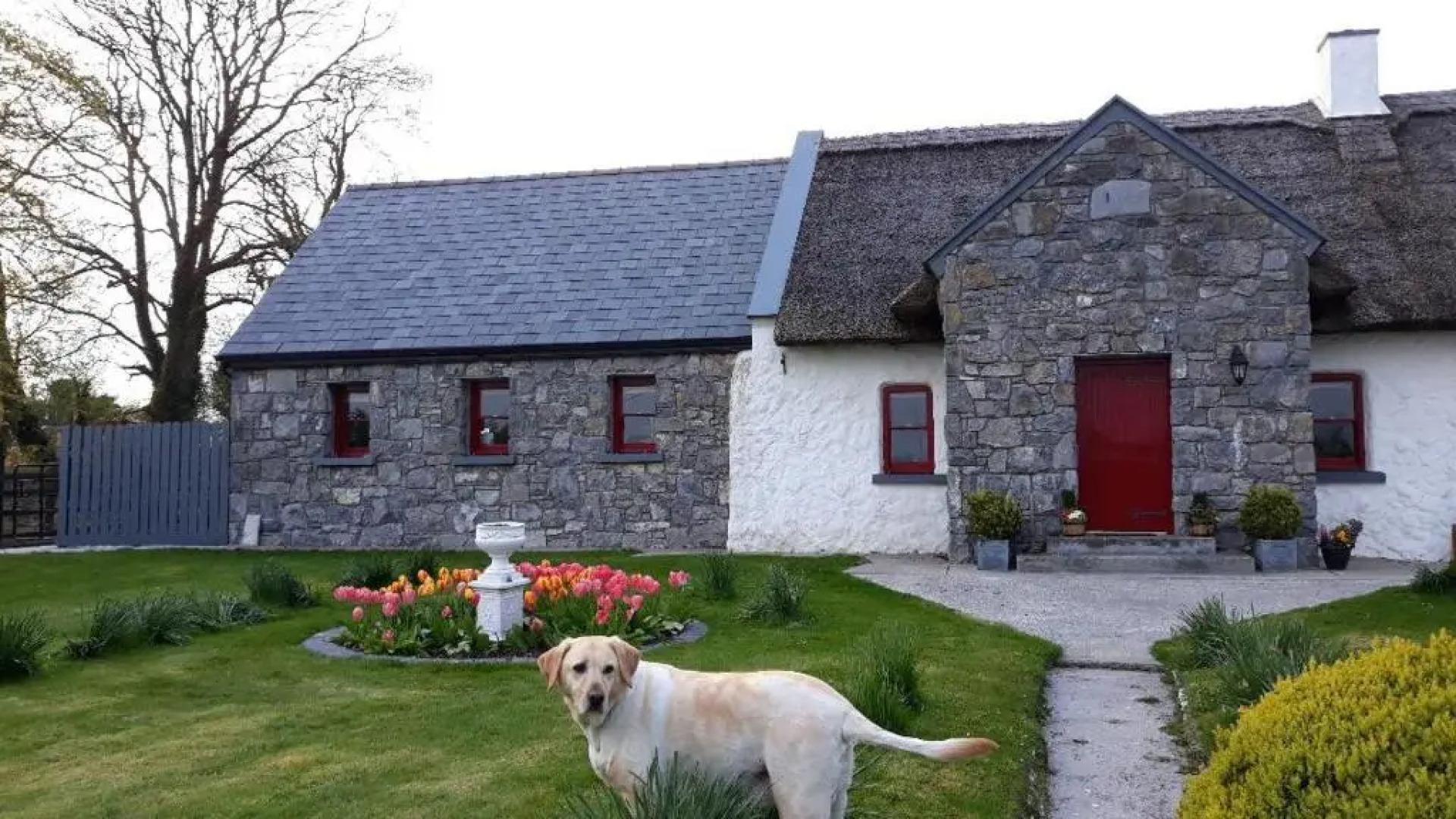 The Thatched Cottage B&B