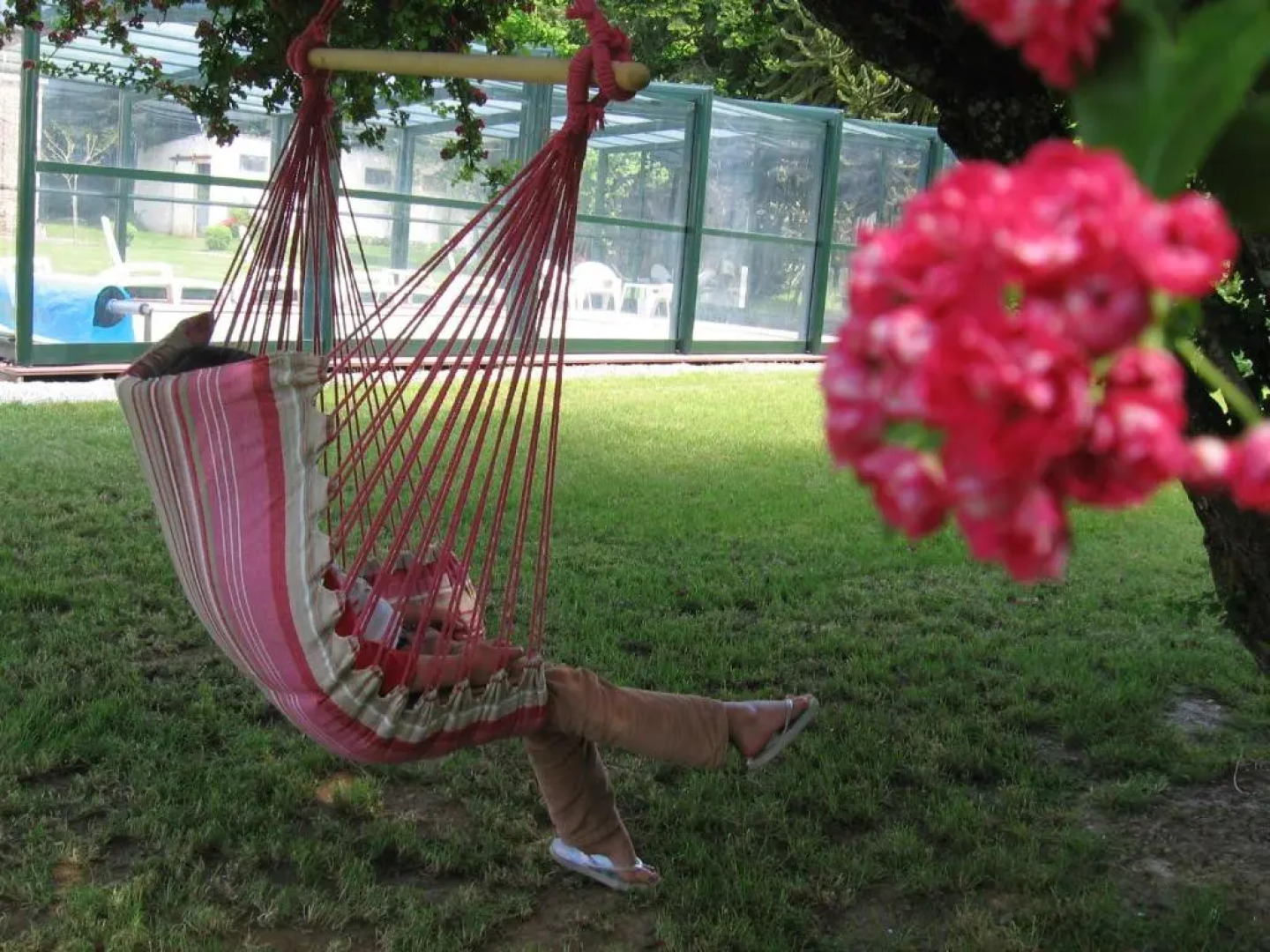 Au Domaine des Camelias