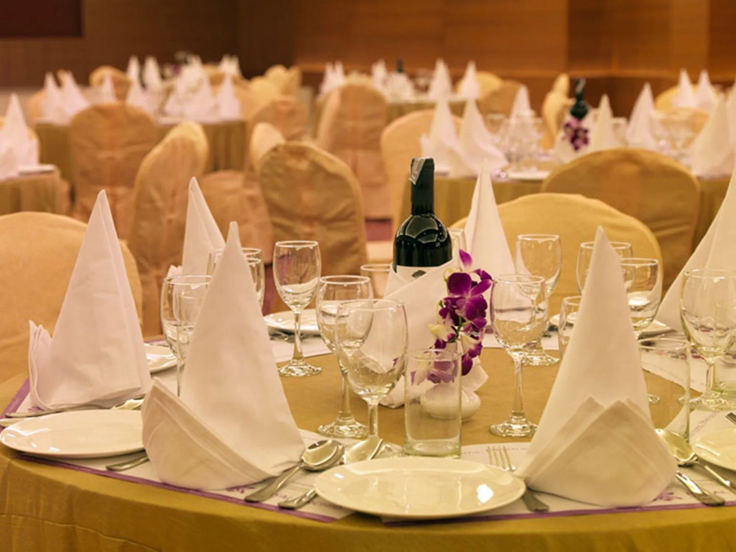 Royal Orchid Central, Vadodara