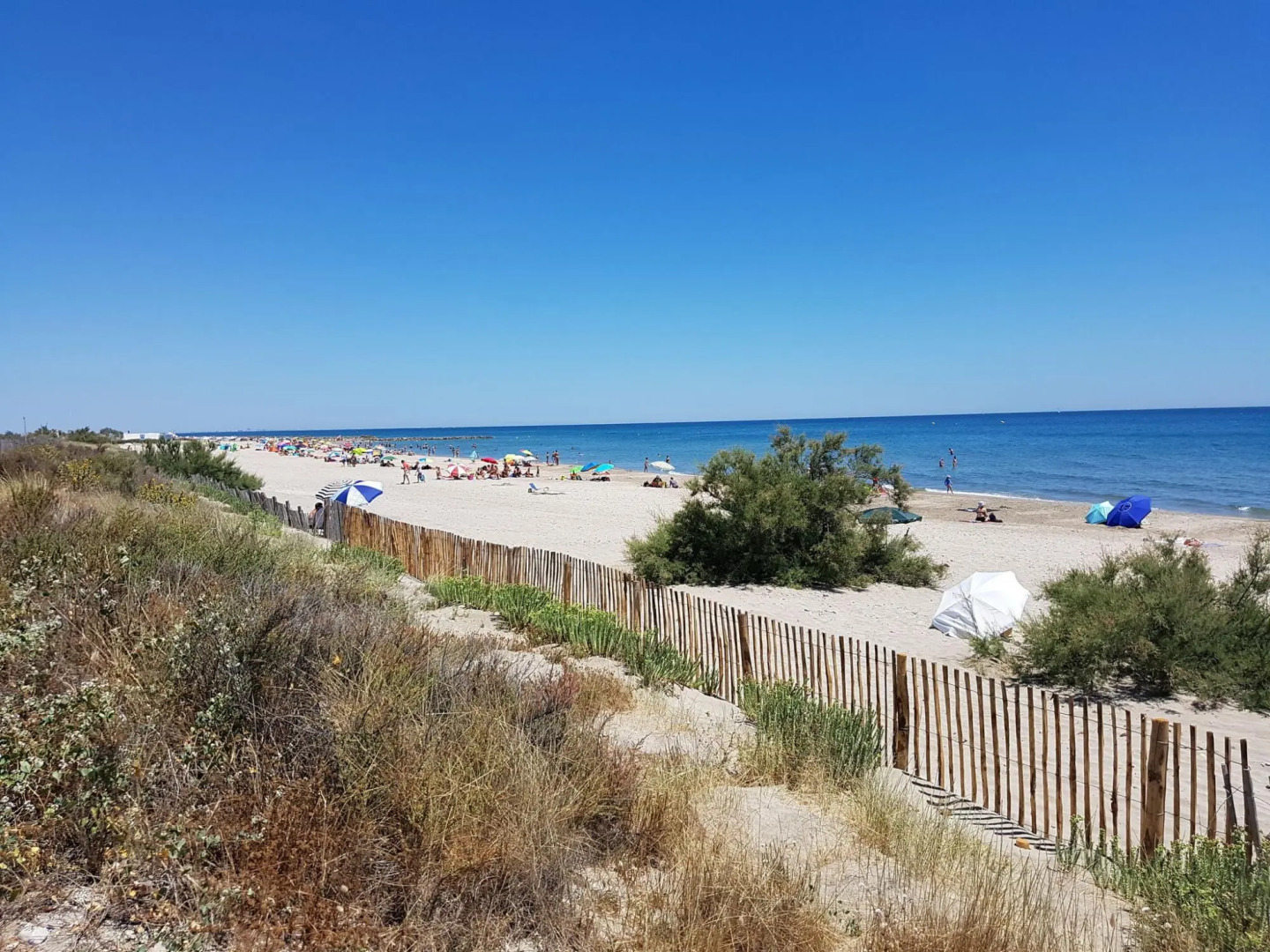 Lavish Apartment in Villesèque-des-Corbières with Terrace