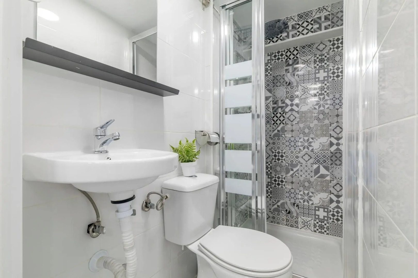 LooP América - Adults Only