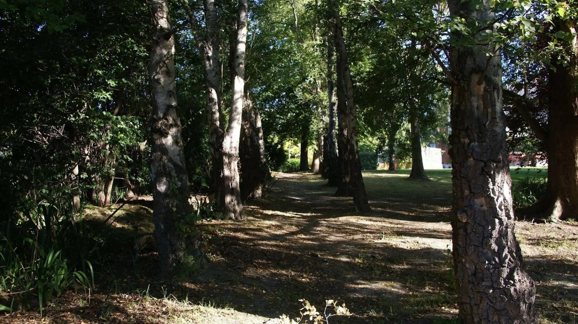 The Birches Bed & Breakfast