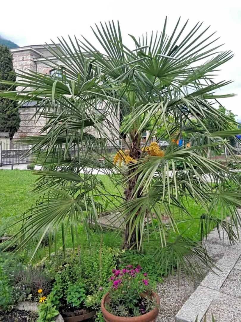 B&B Villa Rosella Appartamento completo di camera matrimoniale e 2 letti singoli