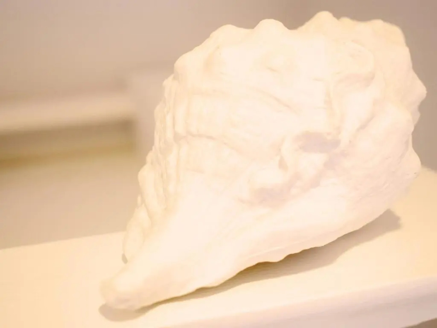 Donau Lodge Boardinghouse