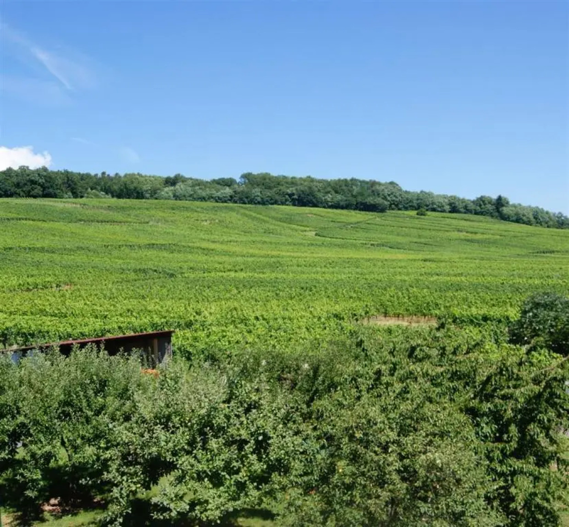 Gîte Binnert Bader