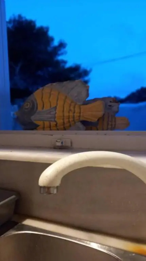 1836 Historic Stone House Goudianika