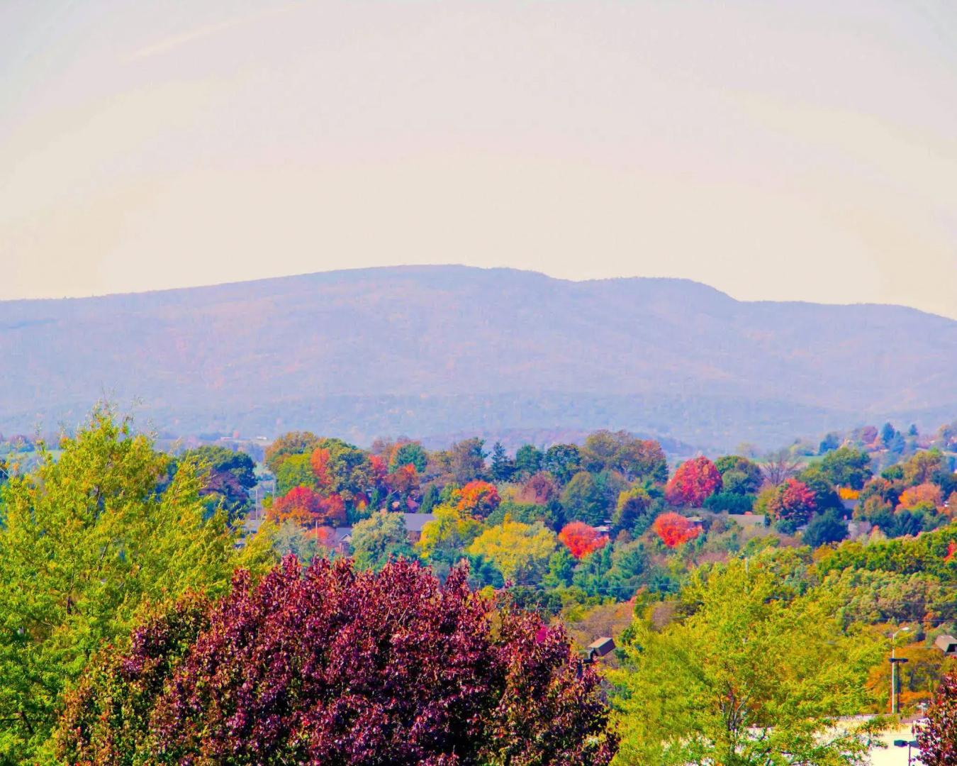 Sleep Inn & Suites Harrisonburg near University